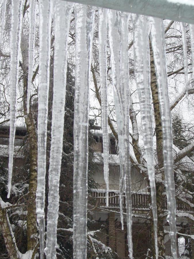 Hausamaarbach Willingen  Buitenkant foto