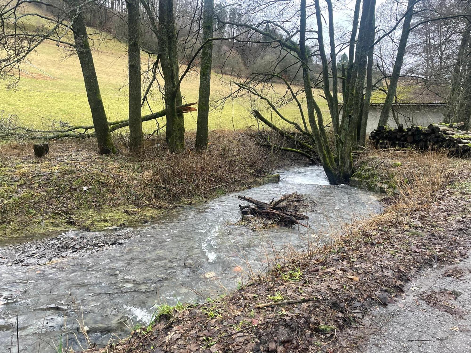 Hausamaarbach Willingen  Buitenkant foto